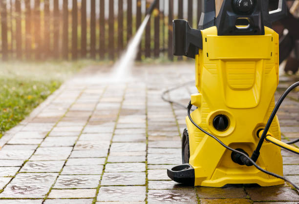 Best Animal Enclosure Cleaning  in Indian Rocks Beach, FL